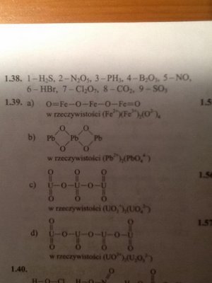 1484614_10205469117913429_2859232812298681096_n.jpg