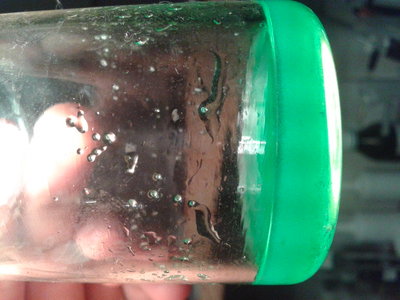 20150301_123210.jpg