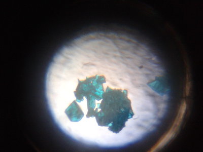 20150322_121308.jpg