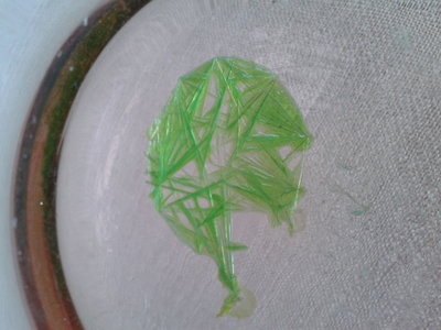 20150403_100727.jpg