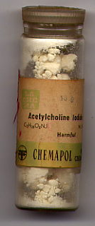 choline.jpg